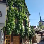 Am Erfurter Dom Erfurt