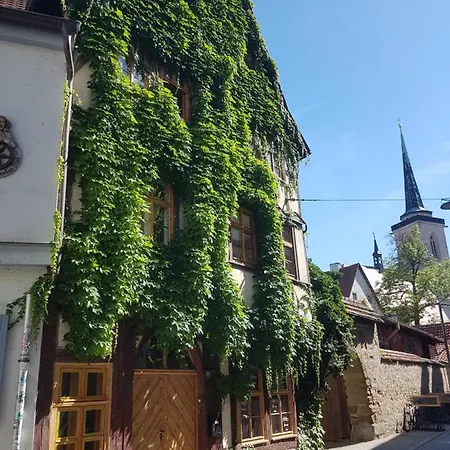 Am Erfurter Dom エアフルト