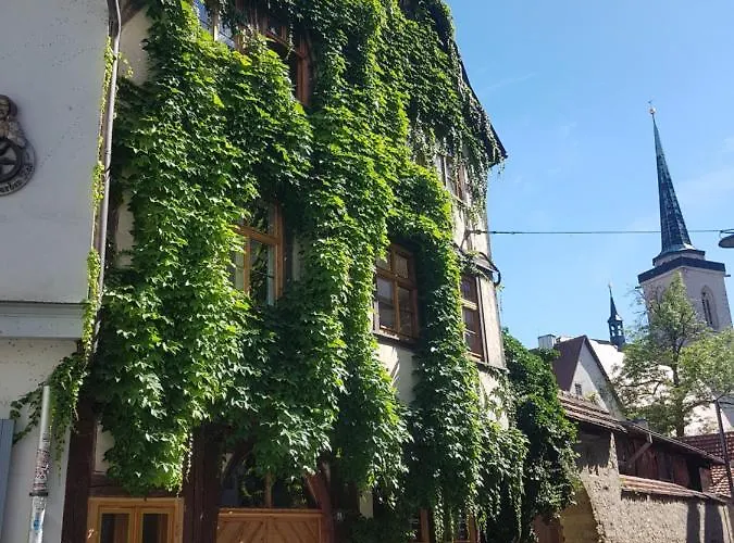 Am Erfurter Dom ארפורט